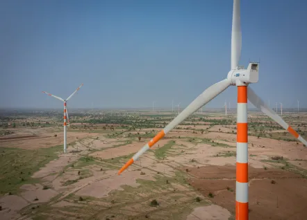Rajasthan Fields